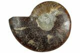 Cut & Polished Ammonite Fossil (Half) - Crystal Pockets #308193-1